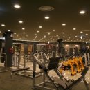 라니피트니스 이미지