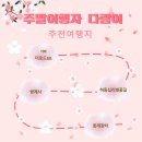 경상남도 하동 여행 - 하동십리벚꽃길, 쌍계사, 화개장터