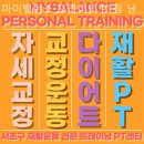 마이 짐 | 교대역 헬스장 마이밸런스 프라이빗 PT짐 남부터미널 서초점 솔직후기 위치 가격