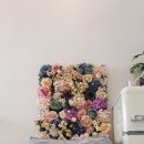 준펫살롱 이미지