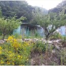 호수농장 이미지