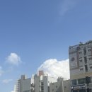 맑은교 이미지