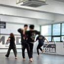 장산 팀매드 (팀매드 장산) | 🥋 해운대 주짓수 체험기! 팀매드장산에서 처음 시작한 격투기 이야기