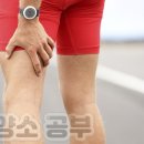 하지정맥류의 치료와 예방 이미지
