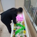 노블레스라이프 장례지도사교육원 이미지