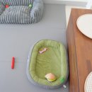 왈왈 살롱 이미지