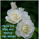 정선주유소 이미지