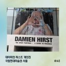 가가약국 | [후기] 데이미언 허스트 개인전_MMCA 국립현대미술관 서울 / 말이 필요 없다 진짜 찐 강추