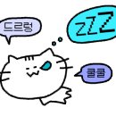 샐러디 춘천우두점
