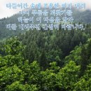 한스라벨르