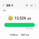 차이킹 이미지