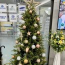본죽 세종새롬점