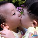 써니밸리상생 이미지