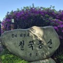 초막골 생태공원 | 경기도 군포 철쭉축제와 물놀이터 초막골생태공원 다녀온 후기