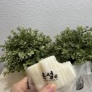 온설떡카페