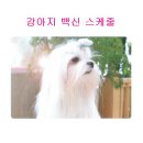 메디팜종합약국 이미지