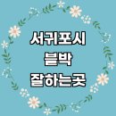중문동주민센터 | 업체 룸미러 차량용 가격 교체 아이나비 오토바이 파인뷰 만도 4채널 가성비 페달 후기 비용 금액 sd카드