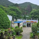 동읍104 | 마산 무학산 오리하우스 서원곡 본점 후기 / 서원곡 유원지 / 경치좋은 계곡뷰 오리불고기 맛집 / 표고...