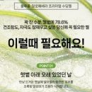 블루베라