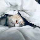 건강한생활 이미지