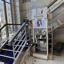 청계동물약품 | 머리 아팠던 내 똥손 인생 종결 찍어줄 곳 찾음! HairDia