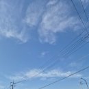 청통식자재마트 이미지