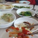 운암5호 이미지