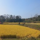 애향공원 이미지