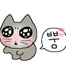 남해어시장 이미지