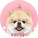 바우하우스 105 이미지