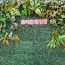 포시즌관광농원 이미지