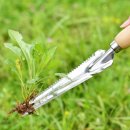 긴뿌리농장 이미지