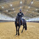 상주국제승마장 이미지