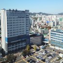 성모큰사랑약국 이미지