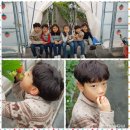 민성이 농장 이미지