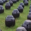 정단농장 이미지