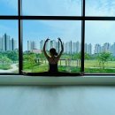 포레스트 스튜디오 이미지