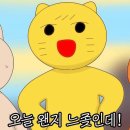 박초코 이미지