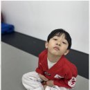 가야우리아이태권도 네이버블로그