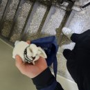 서울에서 지리산 천왕봉 당일치기 코스 후기 (야간버스 타고 가는 방법)