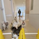 하얀유치원 이미지