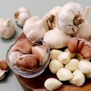 청풍명월농장 이미지