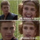 A+(알파 플러스) 펫라운지 네이버블로그