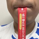 올리브 안전 | 간편하게 마시는 토마토즙, 블루비온 토마토 올리브오일스틱 구매 후기