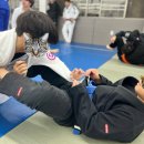 팀타이런트 유도 이미지