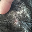 장미꽃과나이팅게일외과의원 이미지