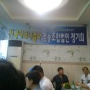 법인소망 이미지