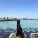 잠실나의부엌 | 제주여행| 함덕해수욕장 서우봉,해녀의부엌 북촌점,블루보틀,치저스,대한목장,숙성도 웨이팅 후기