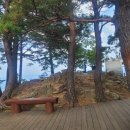 동해시 초록봉-103(+1)/115 이미지