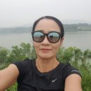 삼성면 명품가로숲길 네이버블로그